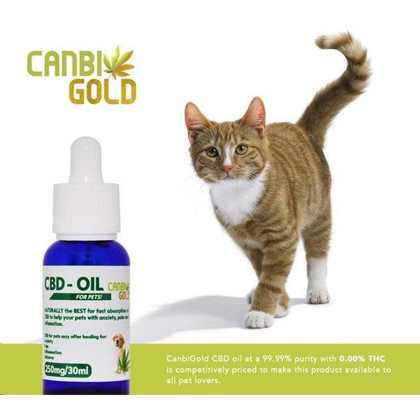 CanbiVet CBD Oil for Pets 250mg 30ml