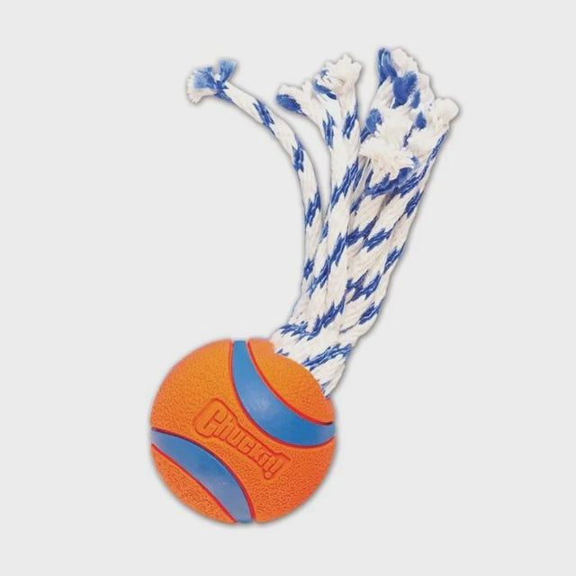 Chuckit Ultra Toss