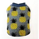 DD Clothing - Pineapples Sweatshirts