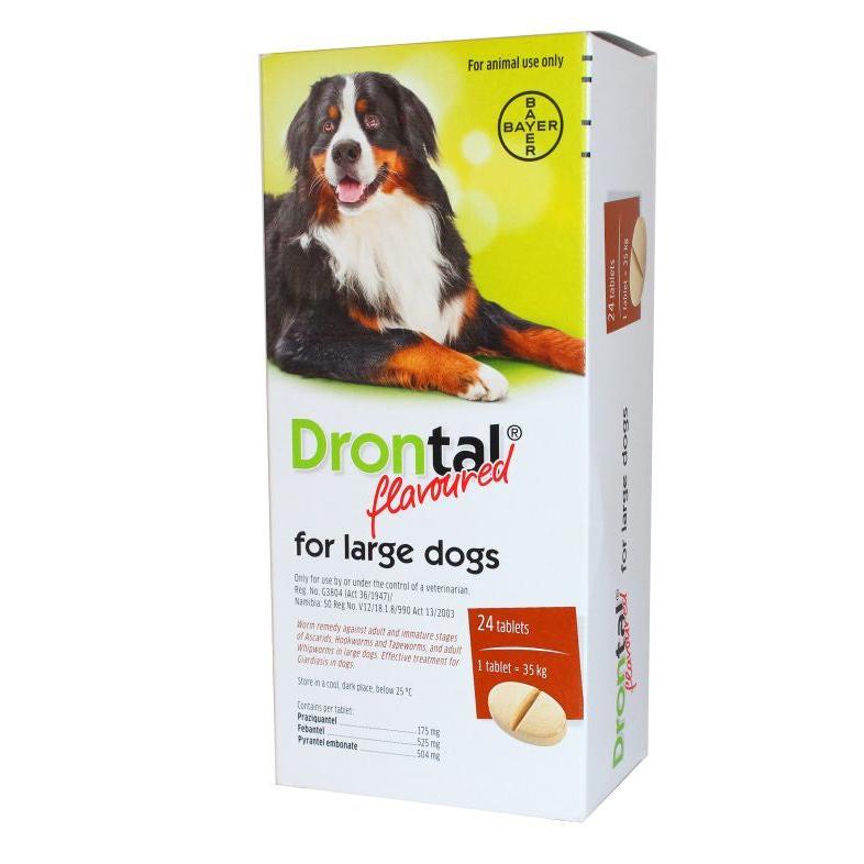 Drontal Dog Dewormer Large Flavoured (Box of 24) DISCONTIINUED