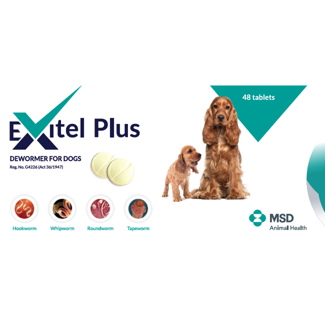 Exitel Plus Dewormer for Dogs
