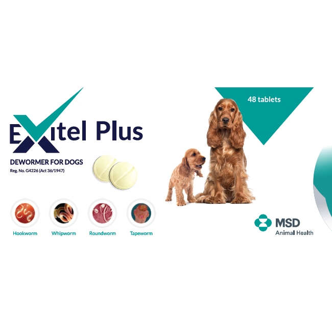 Exitel Plus Dewormer for Dogs