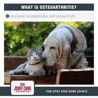GCS Dog Advanced Powder Joint Care