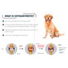 GCS Dog Advanced Powder Joint Care
