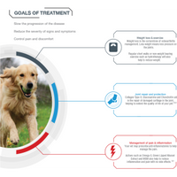 GCS Dog Advanced Powder Joint Care