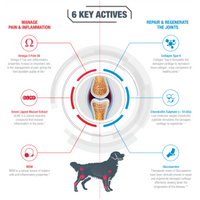GCS Dog Advanced Powder Joint Care