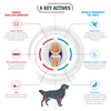 GCS Dog Advanced Powder Joint Care