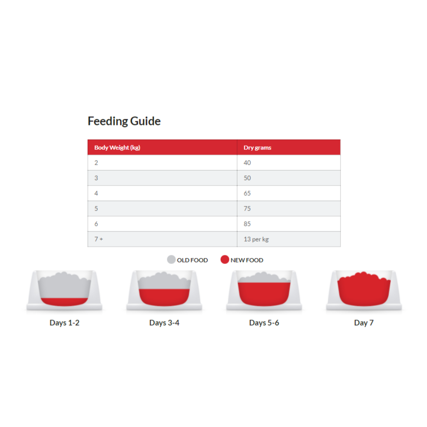 Hill's Cat Adult Oral Care