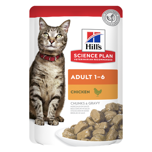 Hill's Cat Adult Pouch - Chicken In Gravy