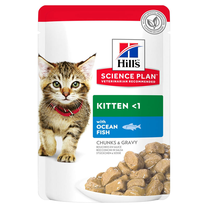 Hill's Cat Kitten Pouch - Ocean Fish