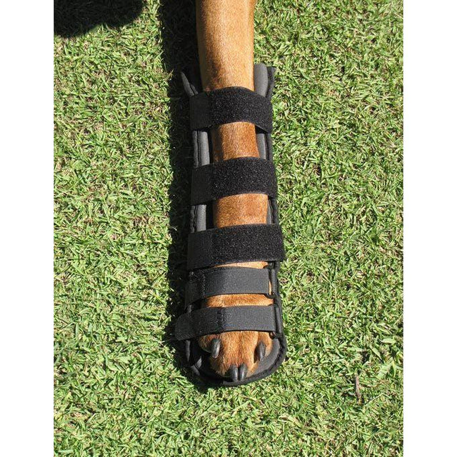 Holistic Pets Thermoflipper