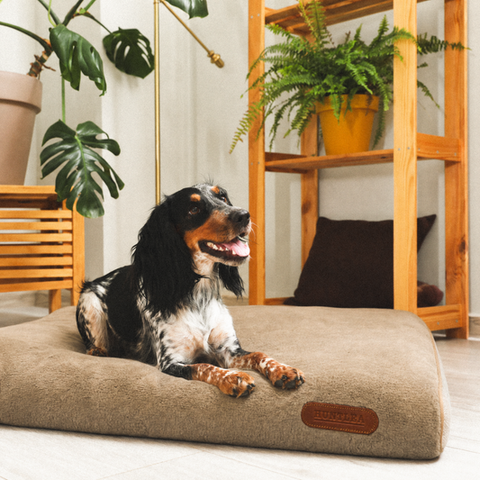 Huntlea Comfort Pad