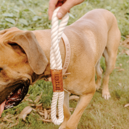 Huntlea Dog Tug Toy with Leather Centre
