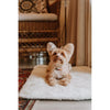 Huntlea Genuine Sheep Skin Dog Mat