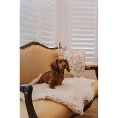 Huntlea Genuine Sheepskin Rug