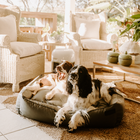Huntlea Kalahari Slumber Dog Bed