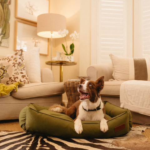 Huntlea Koletto Bolster Plain Dog Bed