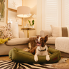 Huntlea Koletto Bolster Plain Dog Bed