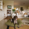 Huntlea Koletto Matlow Dog Bed