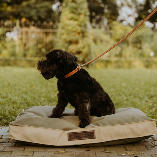 Huntlea Leopard Dog Lead