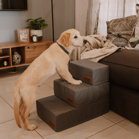 Huntlea Premium Dog Steps