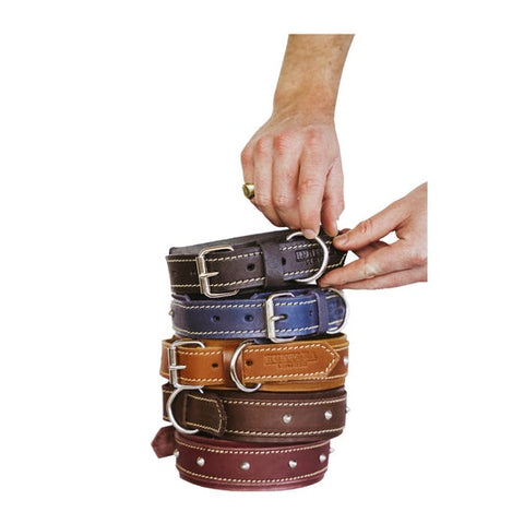 Huntlea Rhino Dog Collar