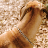 Huntlea Stainless Steel Check Chain