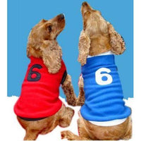 Kunduchi Dog Jersey - Sporty/Rugby (Size 6)