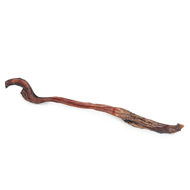 Lekker Barkery Beef Pizzle Stick Long 54cm