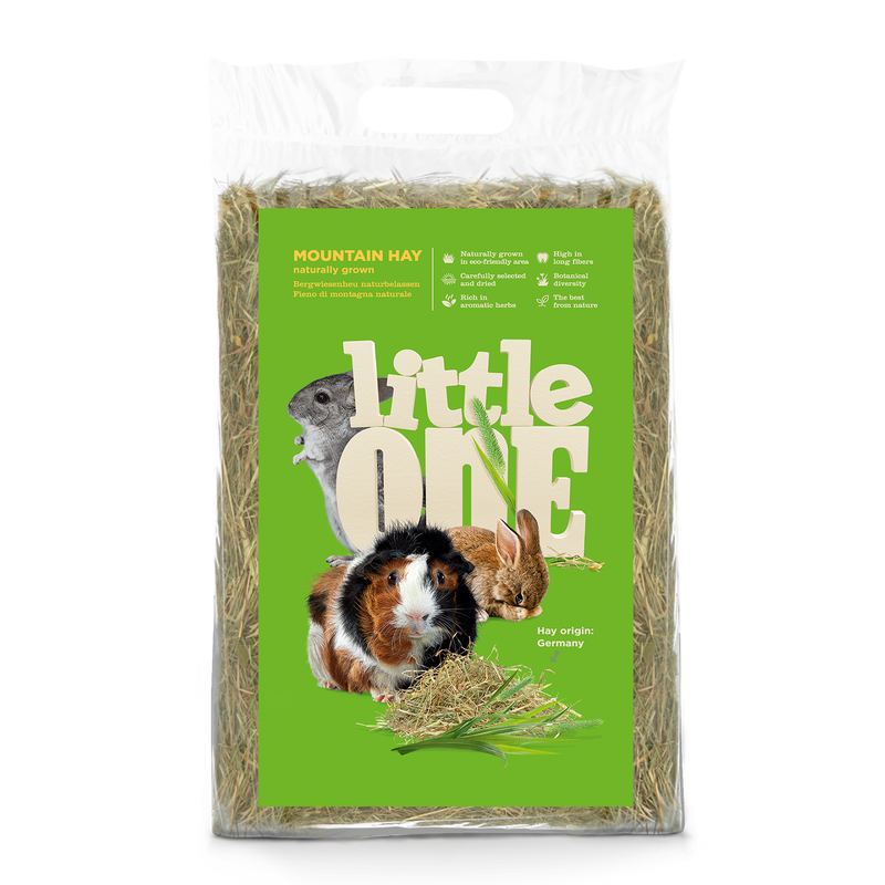 Little One Mountain Hay 400G