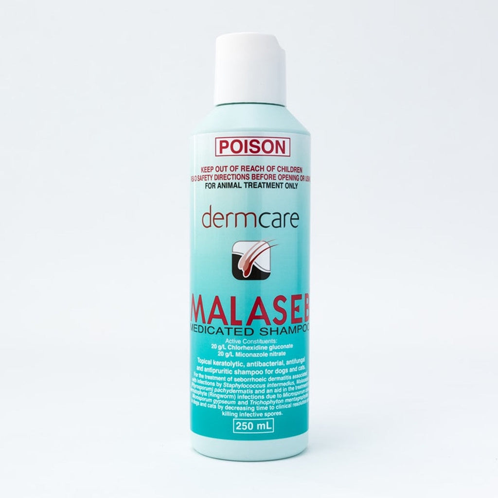 Malaseb Medicated Shampoo 250ml