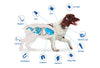 Nexgard Spectra Very Small Dog 2-3.5kg Chewable