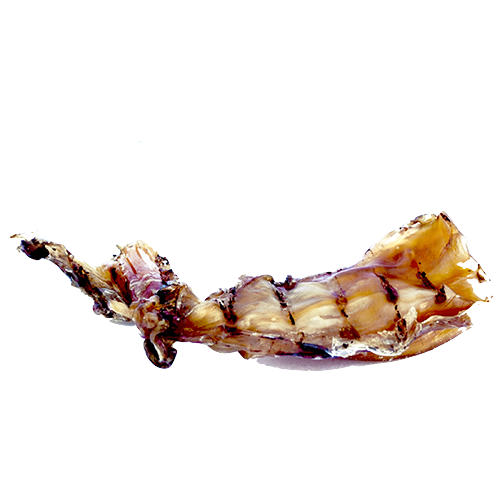 Nandoe Dried Ostrich Knee Sinews - Single