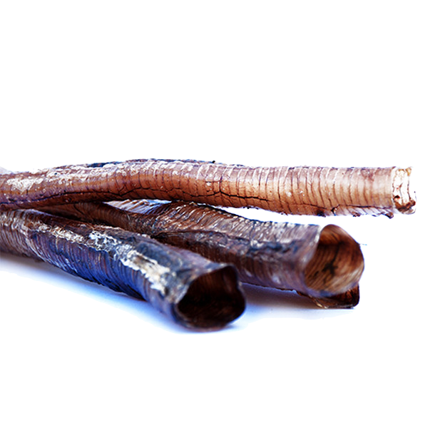 Nandoe Dried Ostrich Windpipes - Single