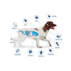 Nexgard Spectra Very Small Dog 2-3.5kg Chewable