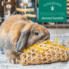 Oxbow Enriched Life Apple Stick Bundle