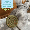 Oxbow Enriched Life Timothy Lollipops