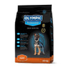 Olympic Puppy Large Breed