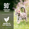 Orijen Cat Food - Kitten Formula