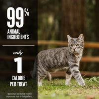 Orijen Cat Freeze Dried Treats - Six Fish