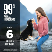Orijen Dog Freeze-Dried Treats - Grass-Fed Lamb