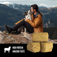 Orijen Dog Freeze-Dried Treats - Grass-Fed Lamb