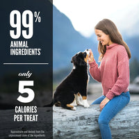 Orijen Dog Freeze Dried treats - Ranch Raised Beef - DISCONTINUED