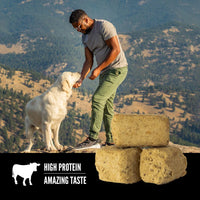 Orijen Dog Freeze Dried treats - Ranch Raised Beef - DISCONTINUED