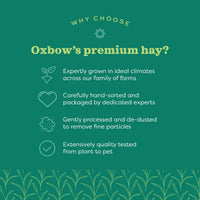 Oxbow Oat Hay