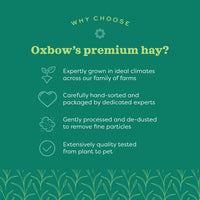 Oxbow Orchard Grass Hay
