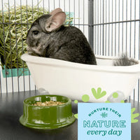 Oxbow POOF! Chinchilla Dust