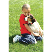 Petsafe Bark Control Collar Static