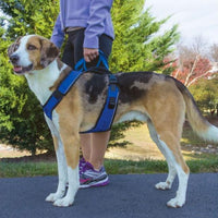 Petsafe EasySport Dog Harness Red