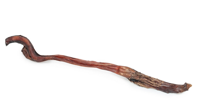 Lekker Barkery Beef Pizzle Stick Long 54cm